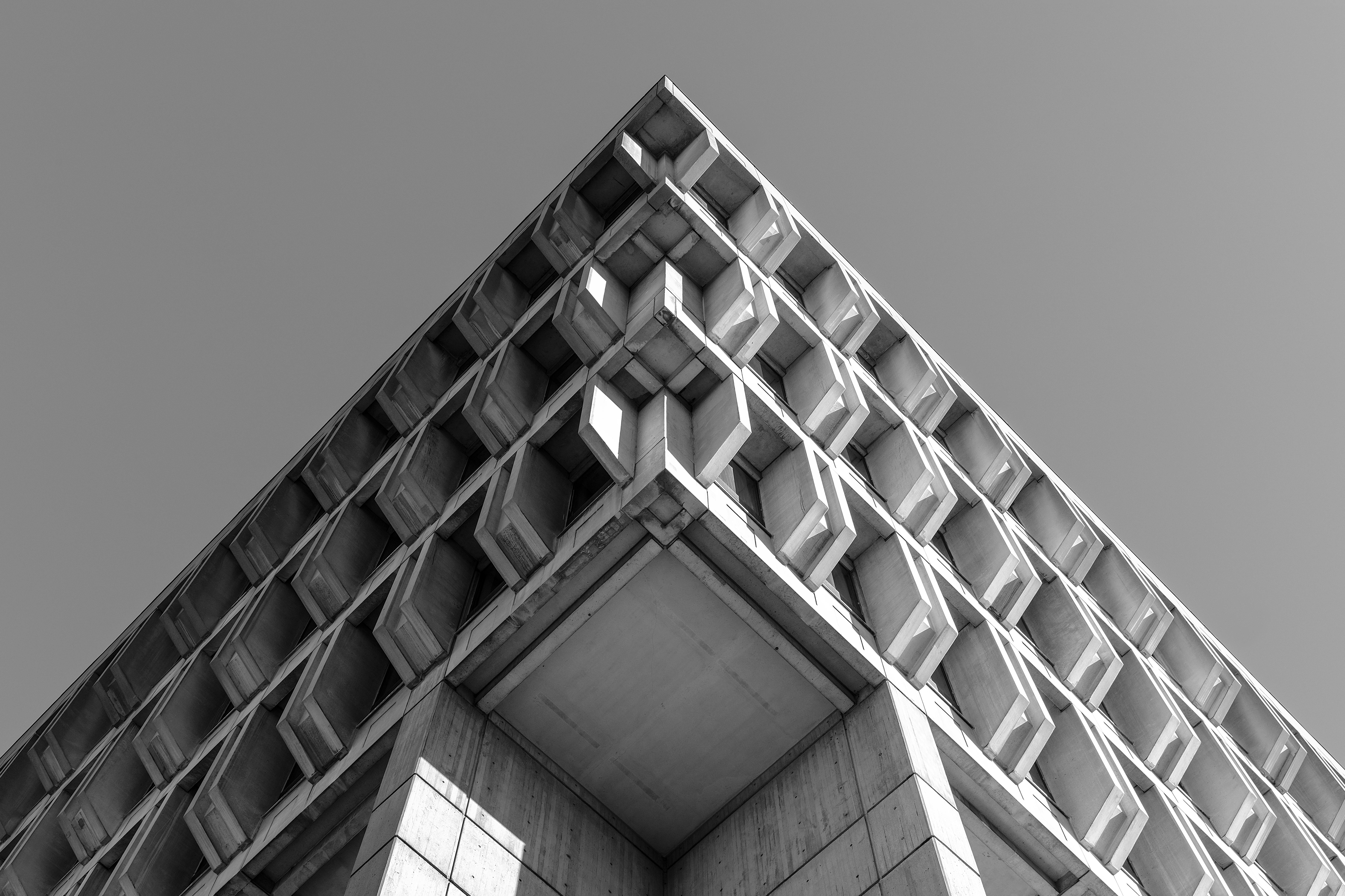 Navigating the Surge of Broker-Assisted Domain Leasing